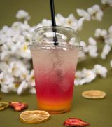 ნარინჯისფერი ანჩანი/ anchan