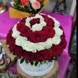 Triomphe En Roses