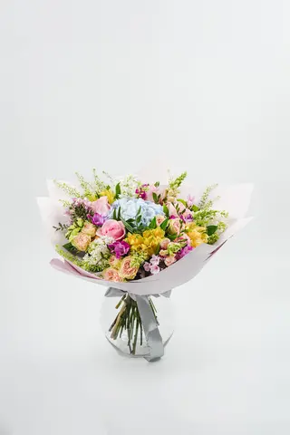 Hydrangea Enchantment