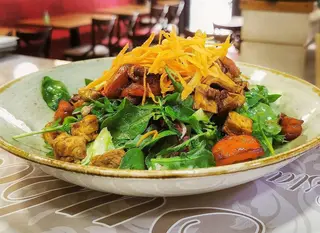 Fit salata