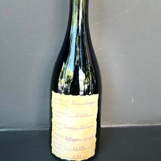 შავკაპიტო(Shavkapito)