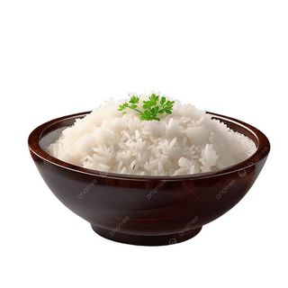 Solo Arroz