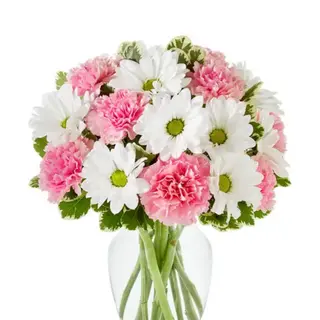 Bukiet Daisy