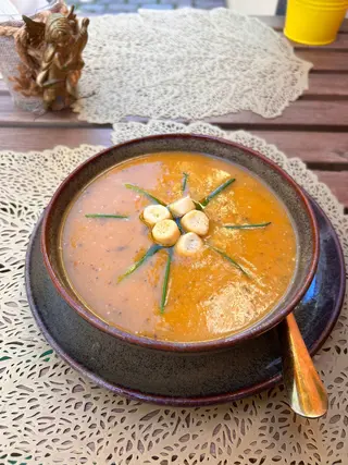 Sopa do Dia
