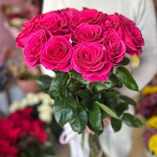 15 бр. Цикламени еквадорски рози с панделка 