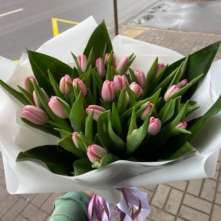 Рожеве Диво 