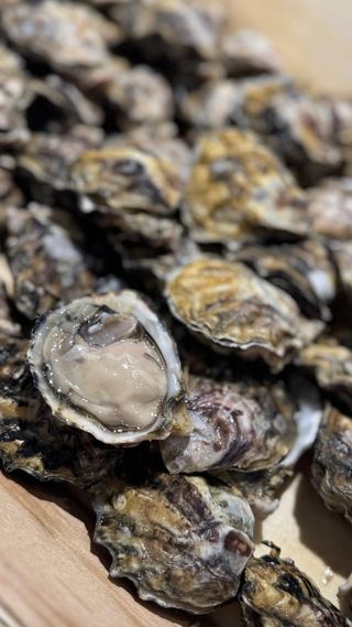 Clams Americana 1 pezzo