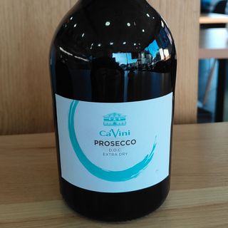 Bollicina Cà Vini Extra Dry DOC 11 %