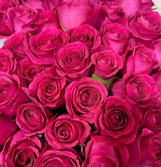 Trandafir roz intens