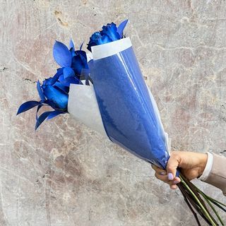 Docena De Rosas Azules