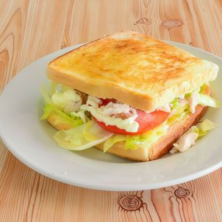 Sándwich Vegetal Especial