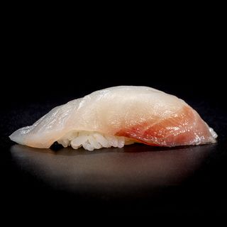 Nigiri orata