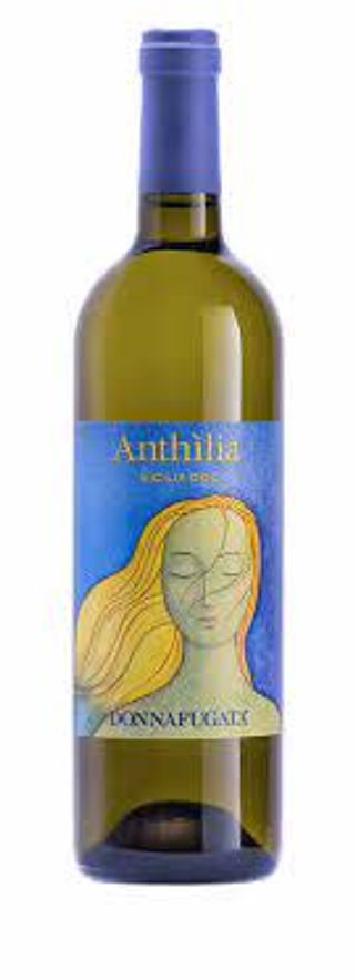 Anthilia