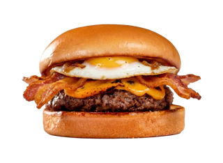 Hambúrguer Especial Único
