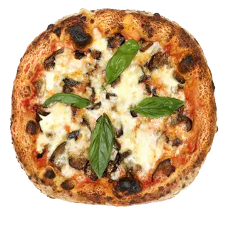 Parmigiana
