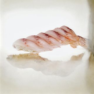 68. Bass lady - 6 pezzi