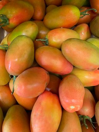 Pomodoro lungo x insalata gr 500