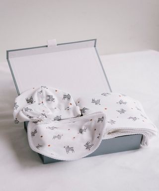 Pack Accesorios Cebras "Algo de Jaime"