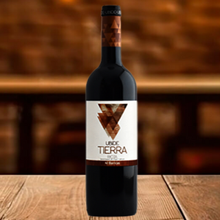 Ubide Tierra