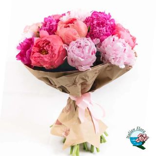 10 Peonie  rosa extra