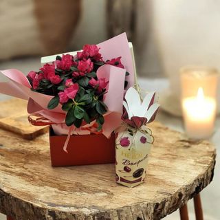 Cadou de Primavara cu Azalee si Praline