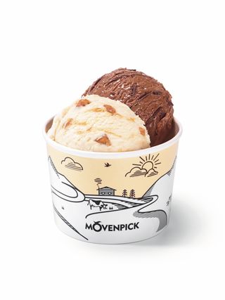 Double Scoop Ice Cream