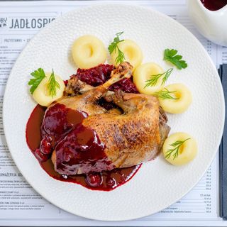 Kaczusia w pięknem ancugu