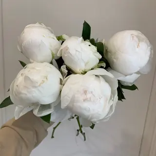 Букет з 5 півоній madam de clain 