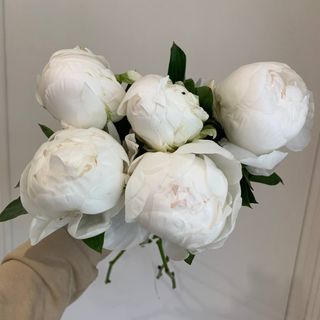 Букет з 5 півоній madam de clain 