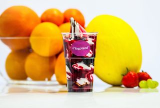 Jogurt mrożony z gorącymi wiśniami i czekoladą 350g