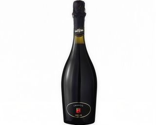 Lambrusco Tinto