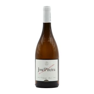 José Piteira