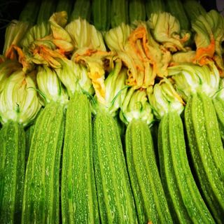 Zucchine romanesche