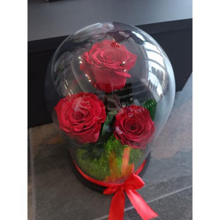 Cupola cu 3 trandafiri criogenati 