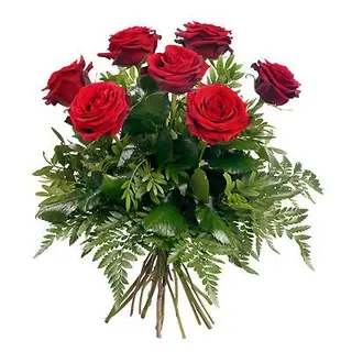 7 Rose rosse cm 80 Ecuador