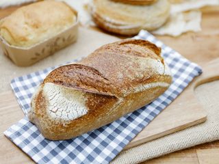 Paine taraneasca integrala