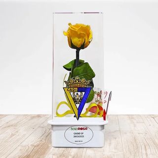 Rosa Eterna CADIZ 1,58