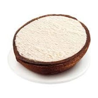 Cocco