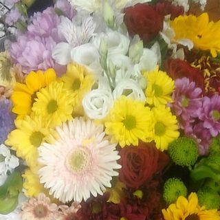 Rosa rosso girasole fiori di campo gerbera bella sposa