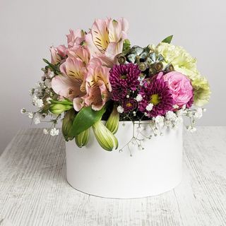 გლორია 1142