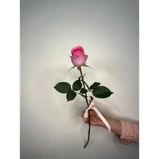 Różowa Róża 50 cm, 1 szt