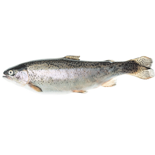 Pastrmka 1 kg