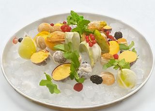 Fruttini gelato misti