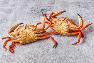 Nécora pieza 150gr aprox