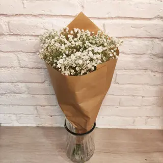 Paniculata Blanca