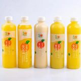 TROPICAL FIESTA (5 Fruit Juices)