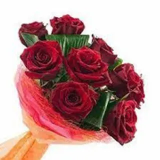 9 Rose rosse
