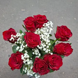 9.   Rosa 