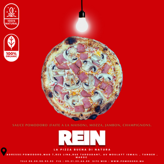  CH Rein   Small   