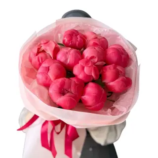Piwonie Coral 11szt